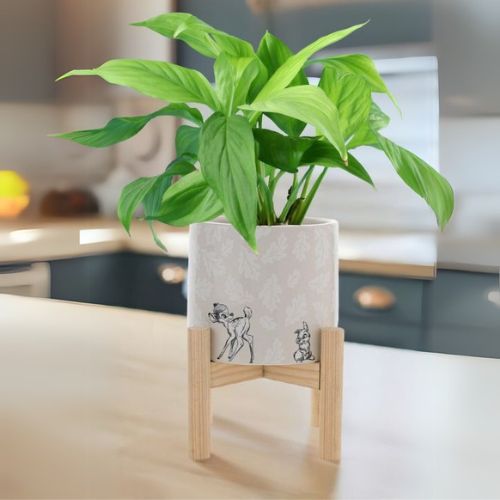 Bambi og Trampe potte plante fra Disney på kjøkkenbordet med en grønn plante i. Det følger også med et stativ som potten kan stå på. Dette er valgfritt å bruke.