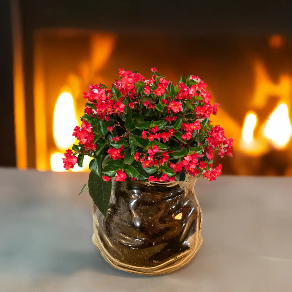 En glassbolle som ser ut som en åpnet ziplock pose. Her er glassbollen brukt som en blomsterpotte. I bollen er det jord og røde blomster med grønne blader. I bakgrunnen er det en peis som brenner.