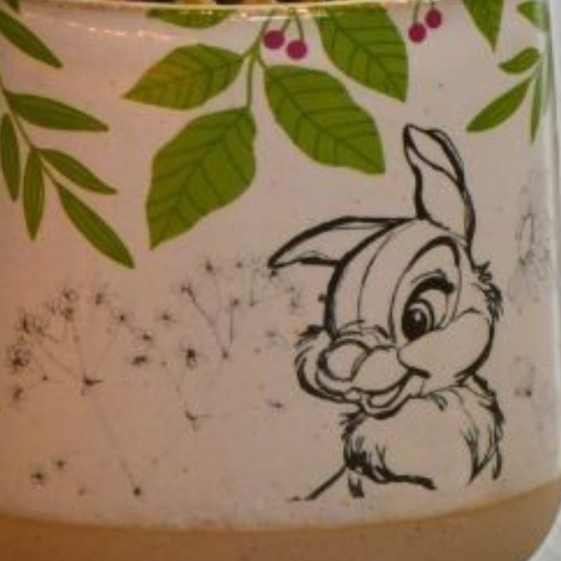 Trampe potteplante detaljer av potten fra Disney