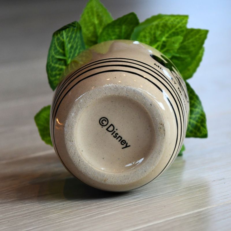 Undersiden av mikke mus blomsterpotte