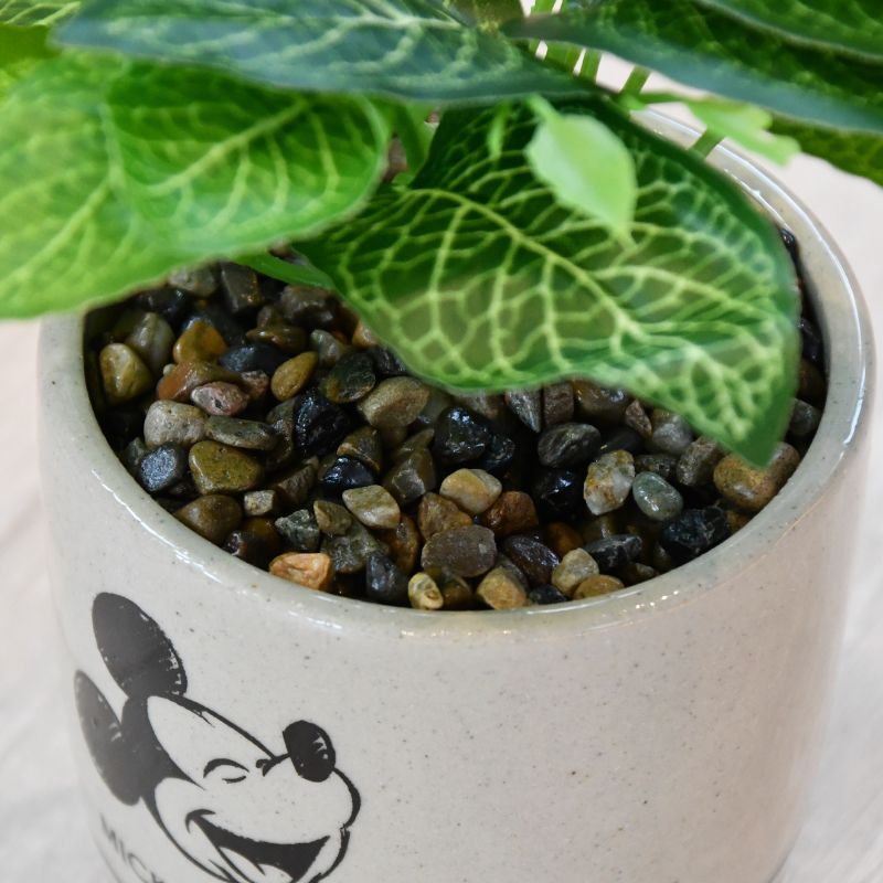 Blomsterpotte fra Disney med steiner i