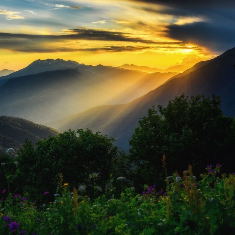 Natur som viser en solnedgang over fjellene. Grønne busker og blomster.