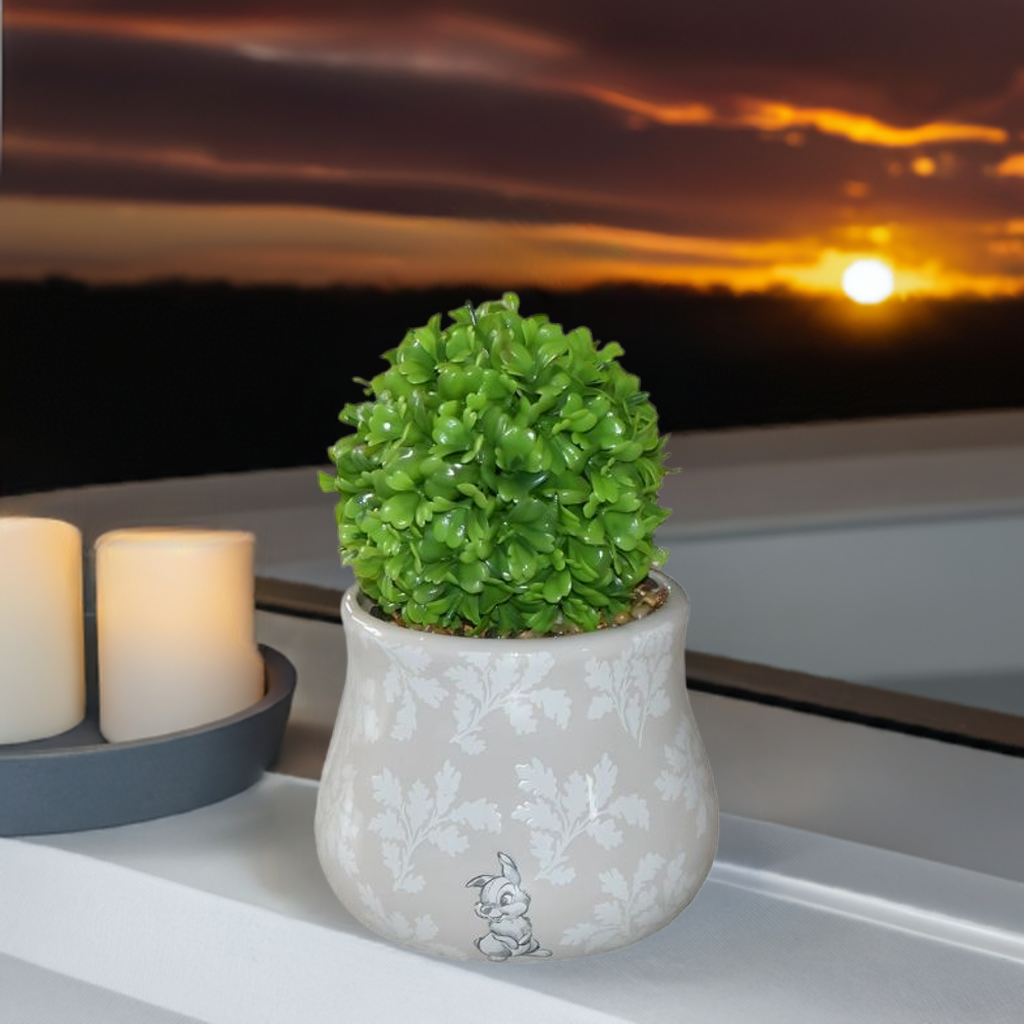 Bambi og trampe potteplante. Her står den i vinduskarmen med trampe siden ut og en nydelig solnedgang utenfor vinduget.