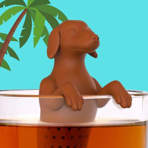 Tesil hund som holder seg fast i koppen og nyter et varmt bad.