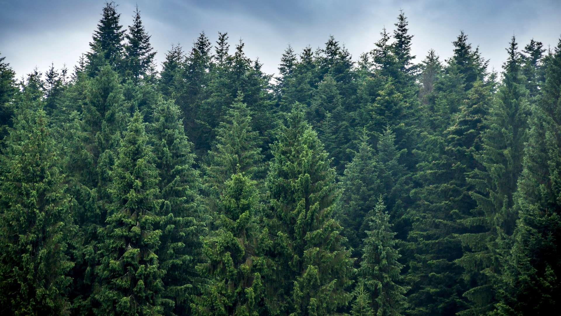 Sammen for en bærekraftig framtid.