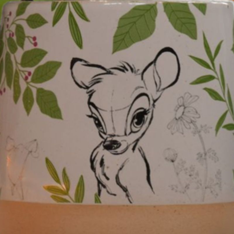 Detaljer på potteplanten bambi. 