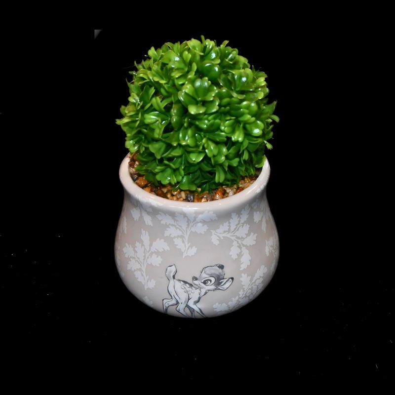 Bambi potteplante ovenfra. Planten følger med. 